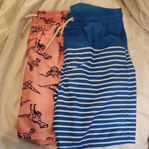 Boys XL Cat & Jack Dinosaur Print Pink and Blue Striped Swim Trunks Set